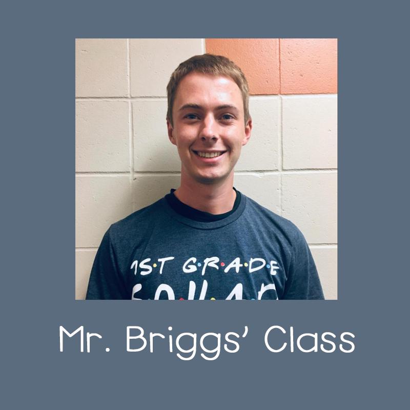 Mr. Briggs' Classroom Link