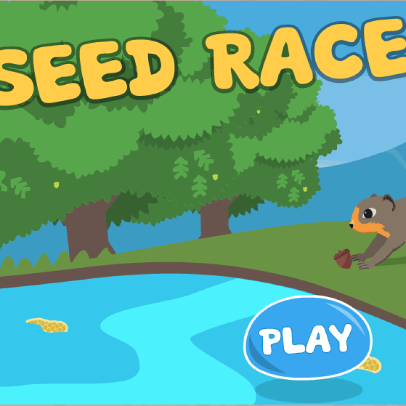 seed racer with play button squirrel getting acorn in a park with trees