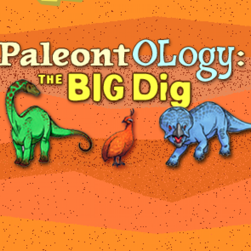 3 dinosaurs BIG DIG