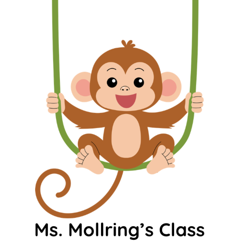 cute monkey swinging on vine smiling