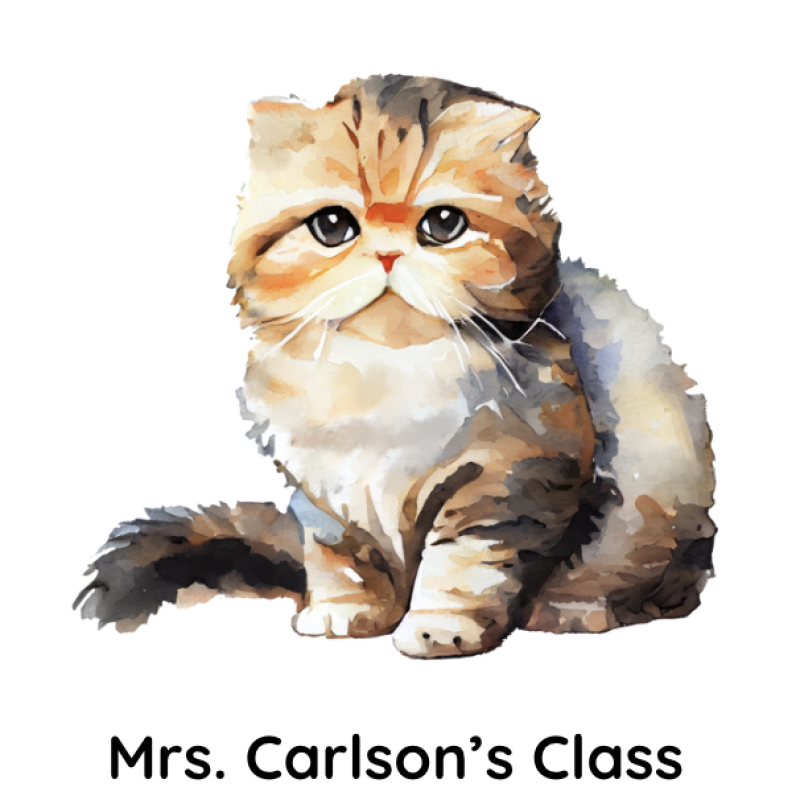 cute cat sitting
