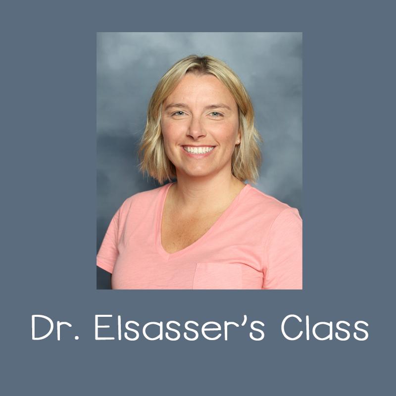 Dr. Elsasser's Class Page