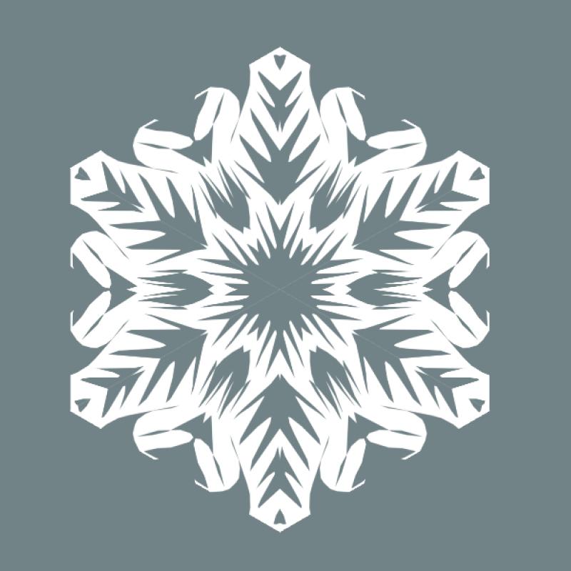 white snowflake on gray background