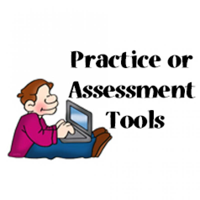 Practice or Assessment Tools boy with laptop
