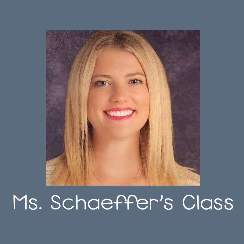 Ms. Schaeffer's Class Link