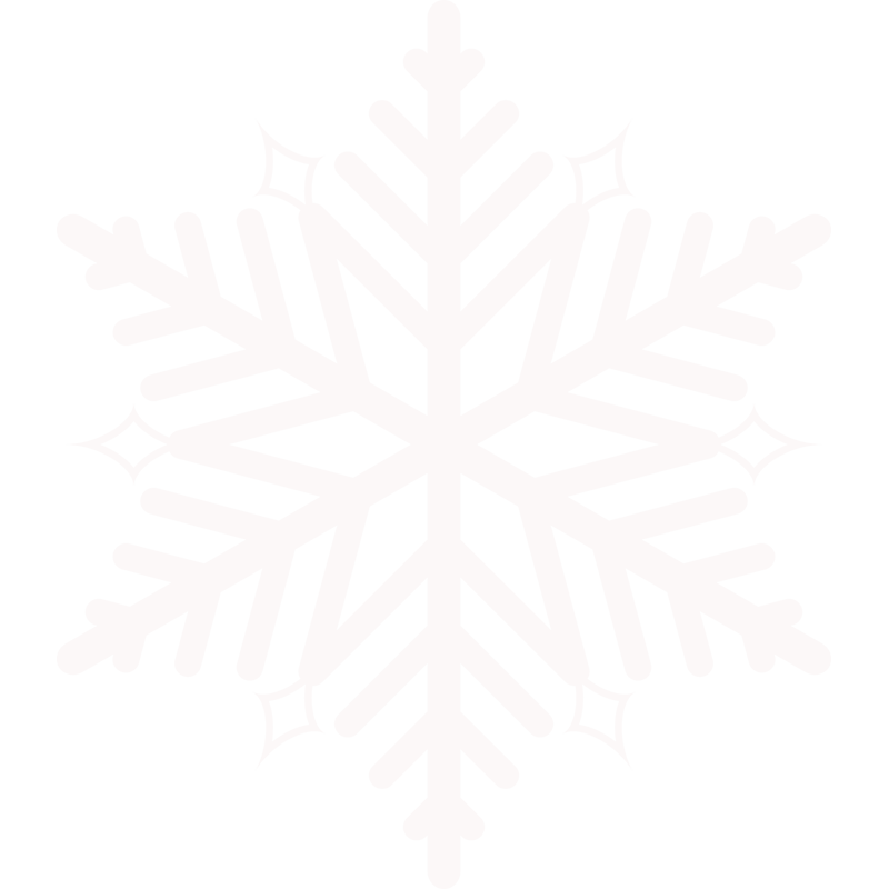 snowflake link